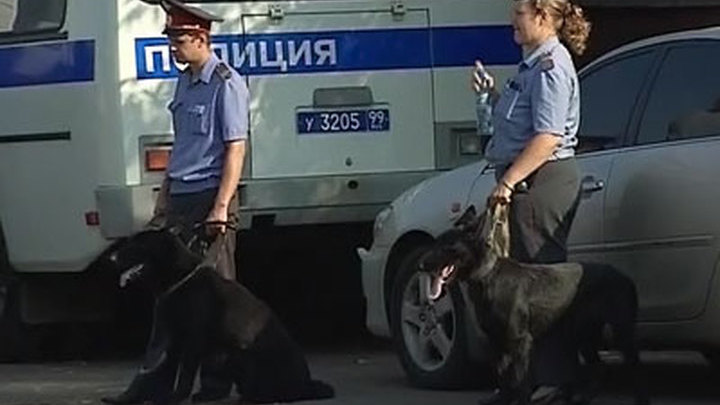 Виновный в наезде на студентов задержан