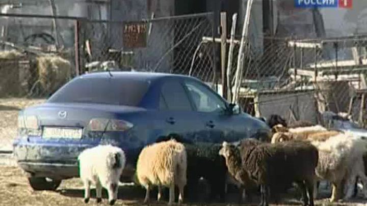 Мусульмане 13.04.2012
