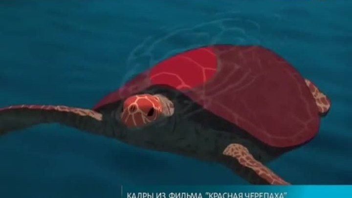 Эфир от 29.10.2016 (17:00)