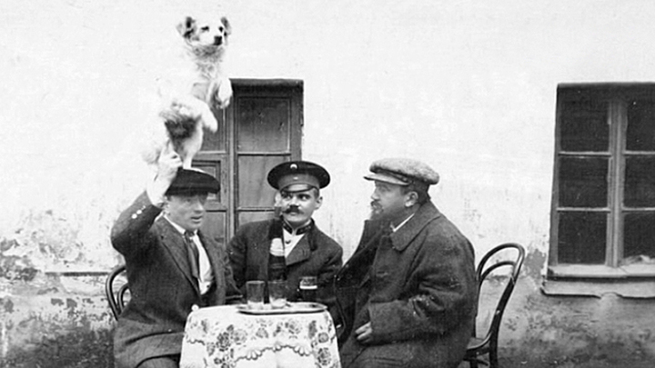 25 ноября - 2 декабря 1916 года, 122-я неделя войны