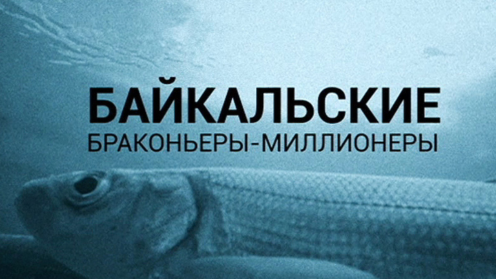 Байкал: кто уничтожает популяцию омуля