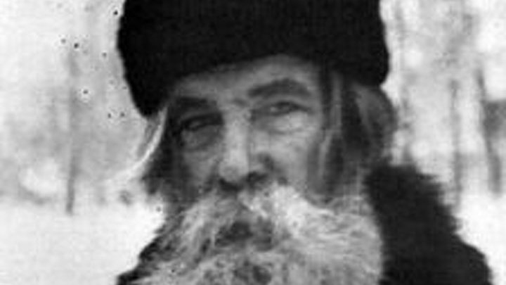 115-я неделя войны