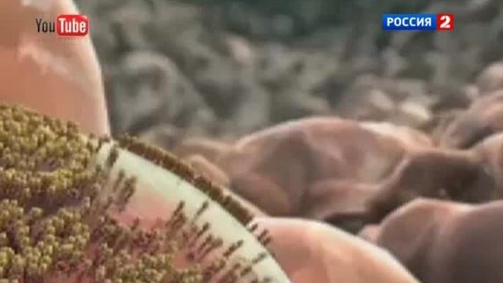 Эфир от 13.07.2012