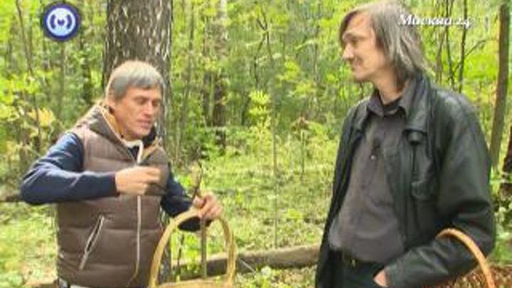 Безопасный грибной пир