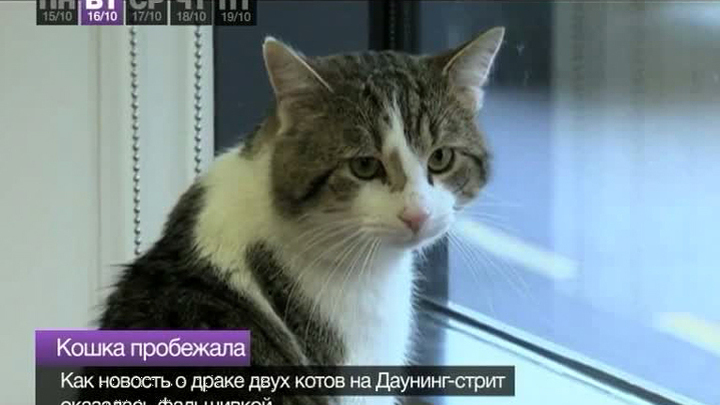 События недели 15-19 октября 2012 года