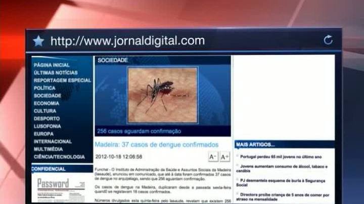 Лихорадка на Мадейре: 37 заболевших