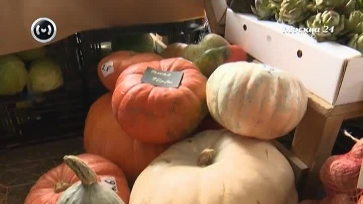 Halloween: выбираем правильную тыкву