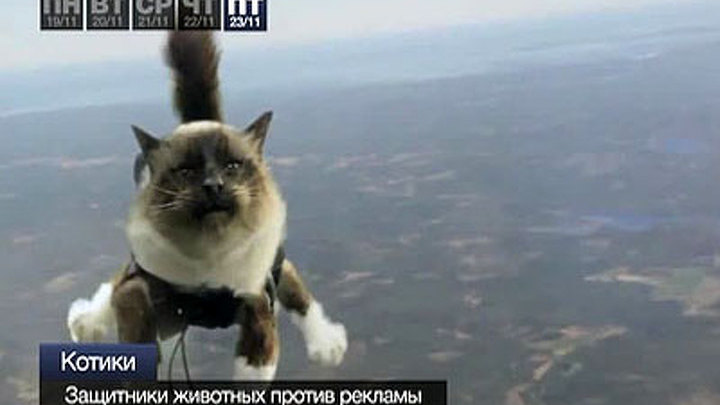 События недели 19-23 ноября 2012 года