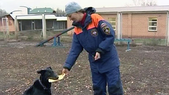 "Созвездие мужества": четвероногие герои МЧС