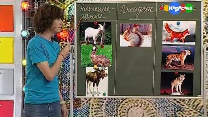 Хищники, растениеядные, всеядные