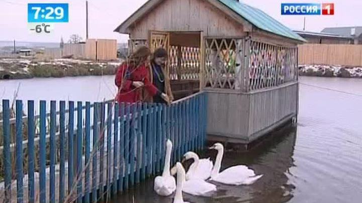 5 звезд сельского туризма