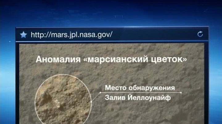 Curiosity сфотографировал "марсианский цветок"