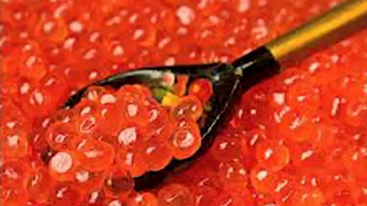 Новые россияне. Специальный репортаж Т. Проскуряковой