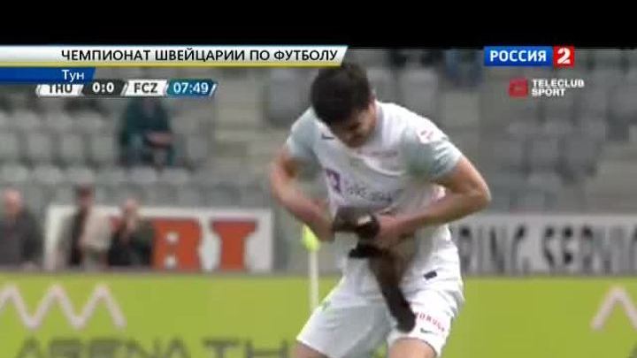 Куница укусила футболиста во время матча. Видео