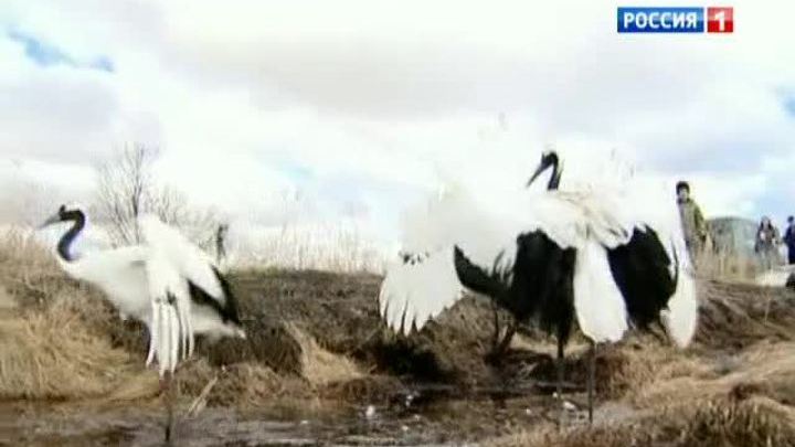 Огонь уничтожает Хинганский заповедник
