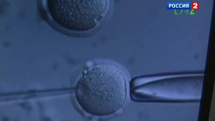 Мышь из хвоста, многофункциональный хронометр и невидимая маркировка