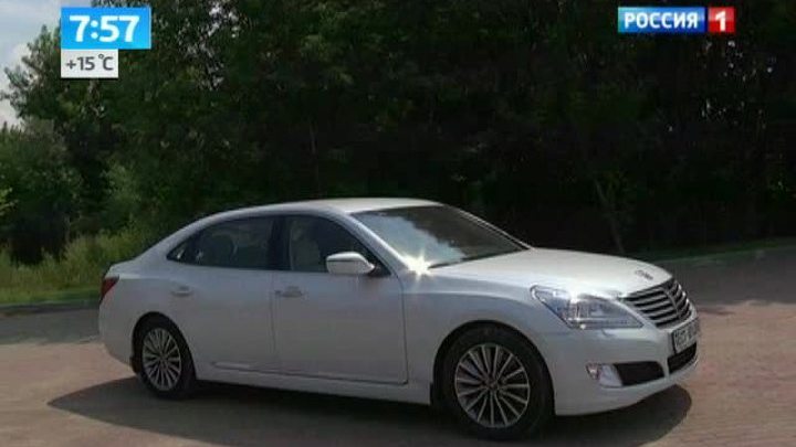 Утро России. Equus