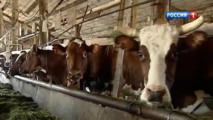 Гордого звания банкрота смогут удостоиться только задолжавшие не менее 300 тысяч