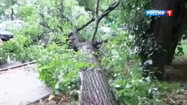 В столичном регионе действует штормовое предупреждение 