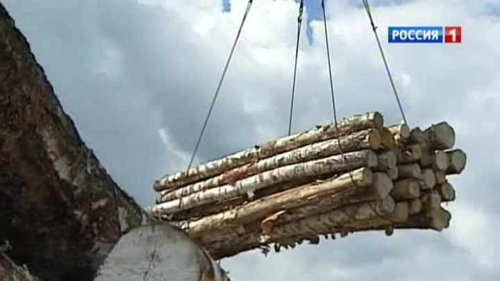 Ульяновский прокурор потребовал заплатить за провоз леса 