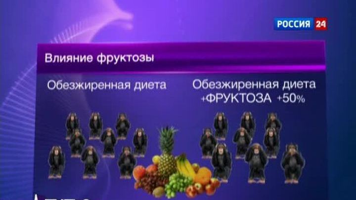 Избыток фруктозы повреждает печень 