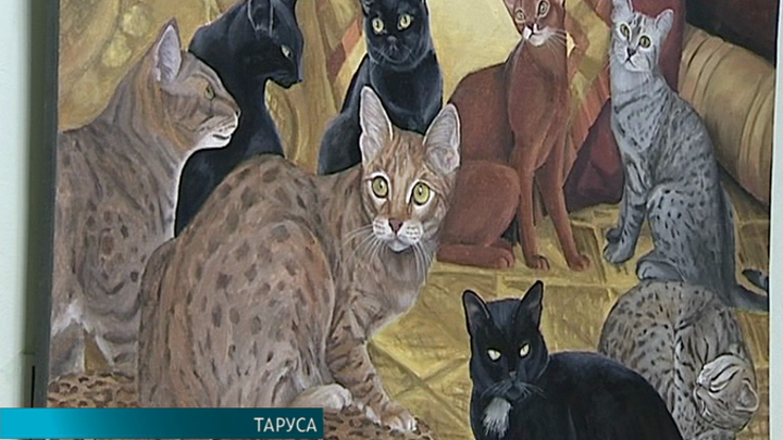 Эфир от 24.07.2013 (19:30)