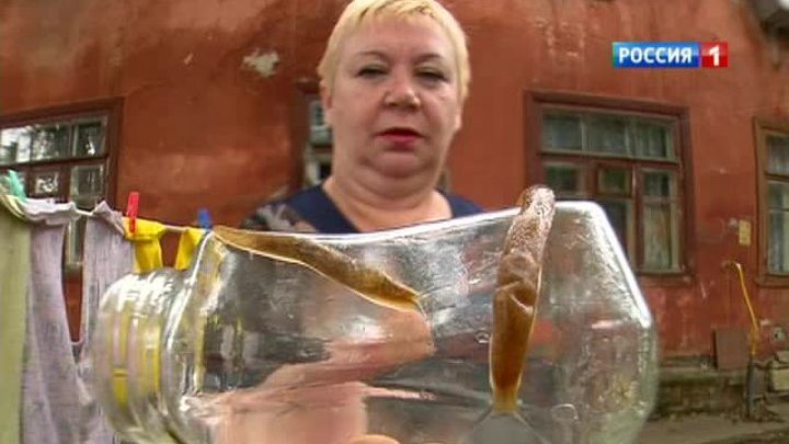 Новые соседи москвичей - моллюски