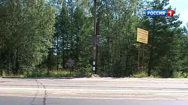 Главный полицейский Ивановской области попал в аварию из-за лося