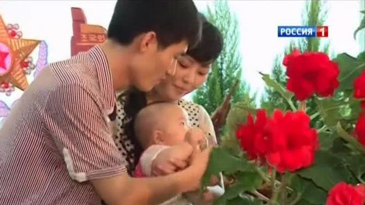 Праздник по-северокорейски: ракеты и цветы