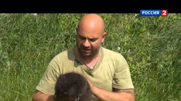 Могло быть хуже. Полеты во сне и наяву  