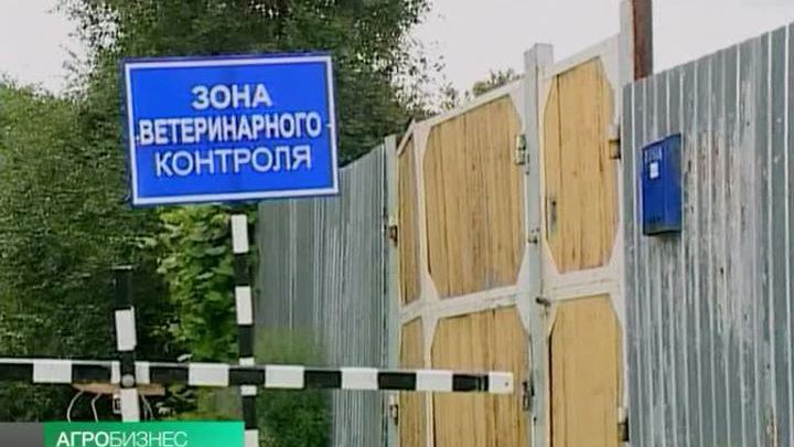"Вести. Агробизнес" от 3 августа 2013 года