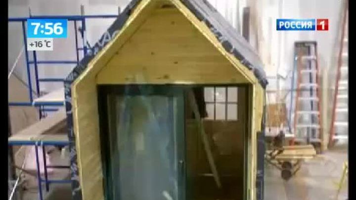 Инженеры научились строить дома из грибов