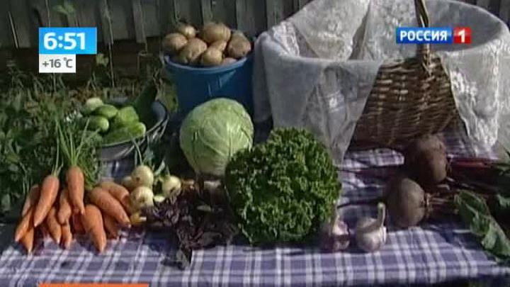Эфир от 05.08.2013