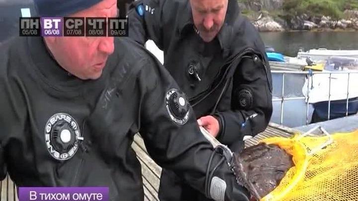 События недели. 5-9 августа 2013 года