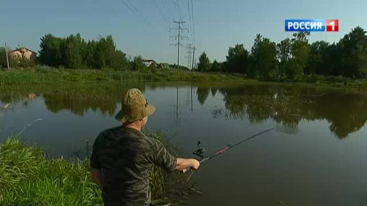Печальная статистика: рыбалка под напряжением