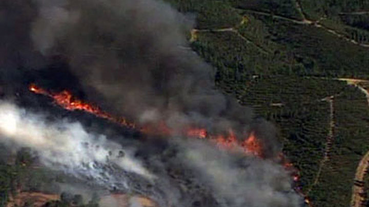 Португалия. Лесные пожары