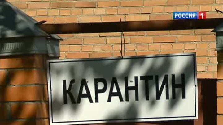 Карантин: мальтийская лихорадка угрожает Подмосковью