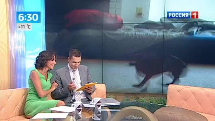 Эфир от 19.08.2013