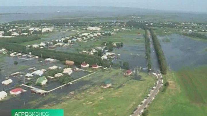 "Вести. Агробизнес" от 24 августа 2013 года