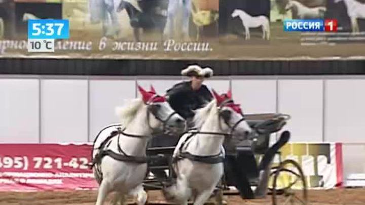 <b>Вести-Москва. Эфир от 29 августа 2013 (05:30)</b>