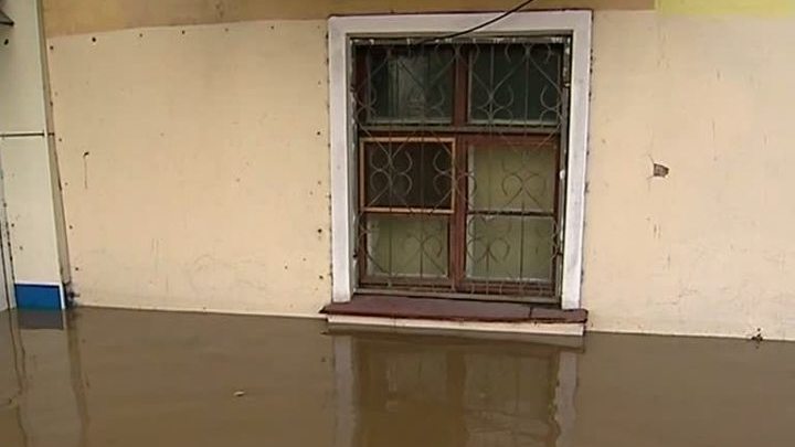 Потоп в Хабаровске: город терроризируют грызуны и насекомые