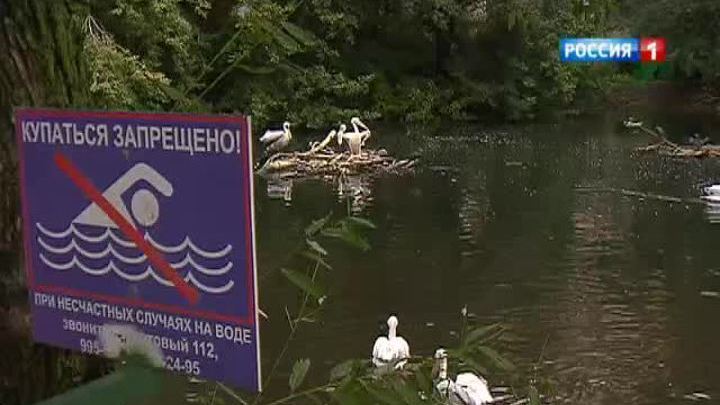 Столичный зоопарк открывает закулисье