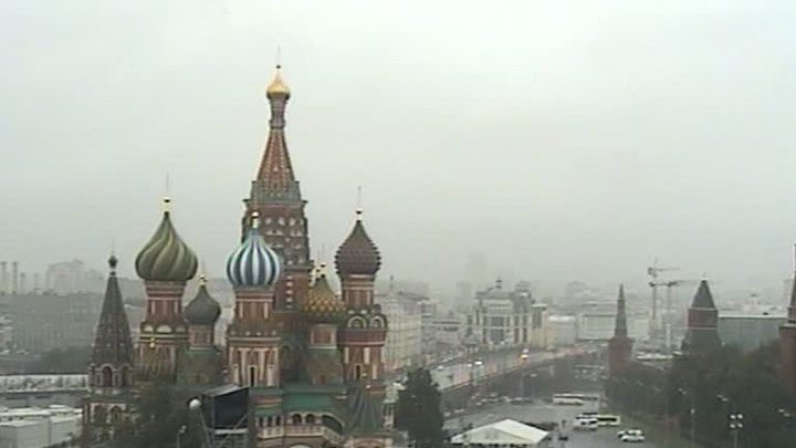 Ветер в Москве повалил 60 деревьев и убил женщину