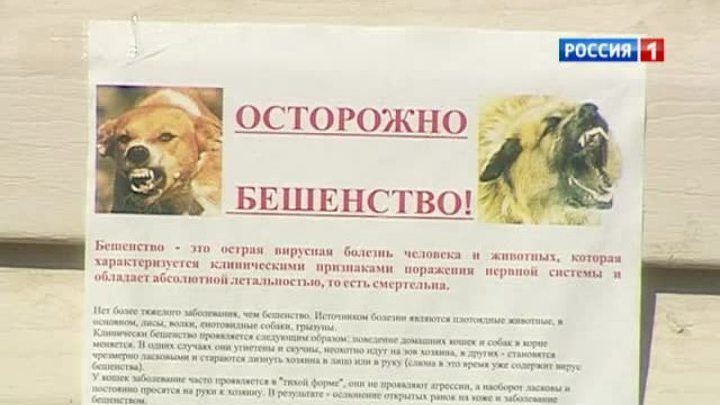 В Троицком округе Москвы продлен карантин по бешенству