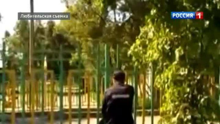 В Приморье проводится проверка по факту убийства медвежонка