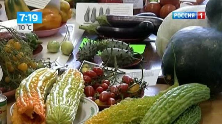 Эфир от 12.09.2013