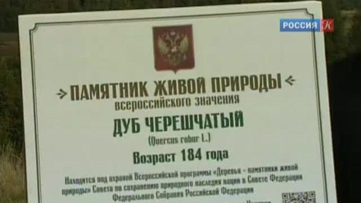 Эфир от 12.09.2013 (10:00)