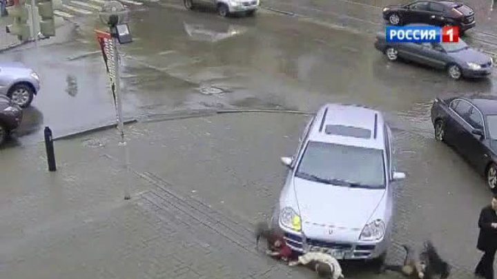 Виновница смертельного ДТП могла просто перепутать педали