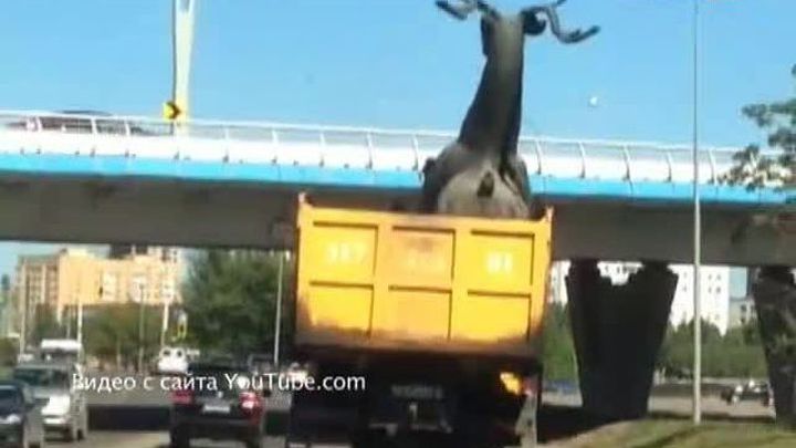 Олень в кузове и за рулем: осторожно, негабаритный груз