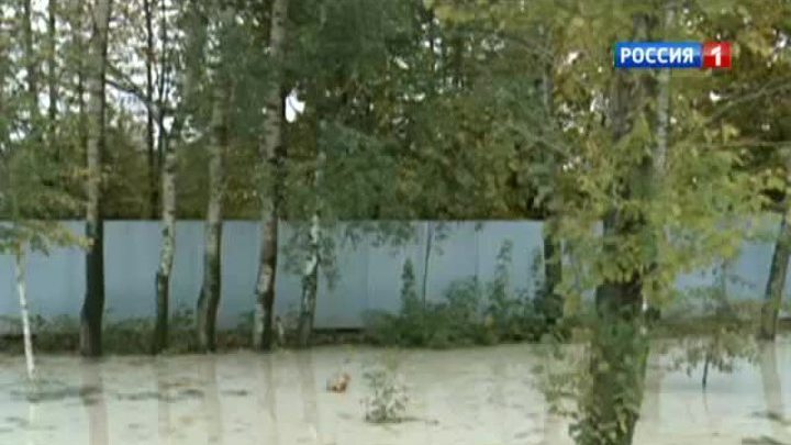 По колено в клее оказались жители деревни Крекшино